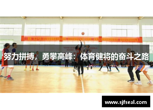 努力拼搏，勇攀高峰：体育健将的奋斗之路